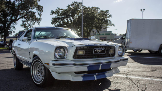 Mustang 2 (1 of 5)