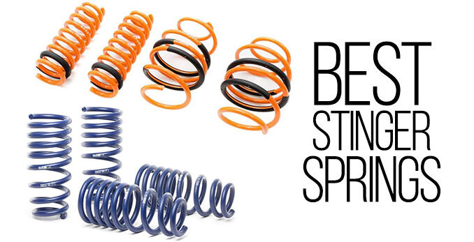 Stinger-Springs-featured